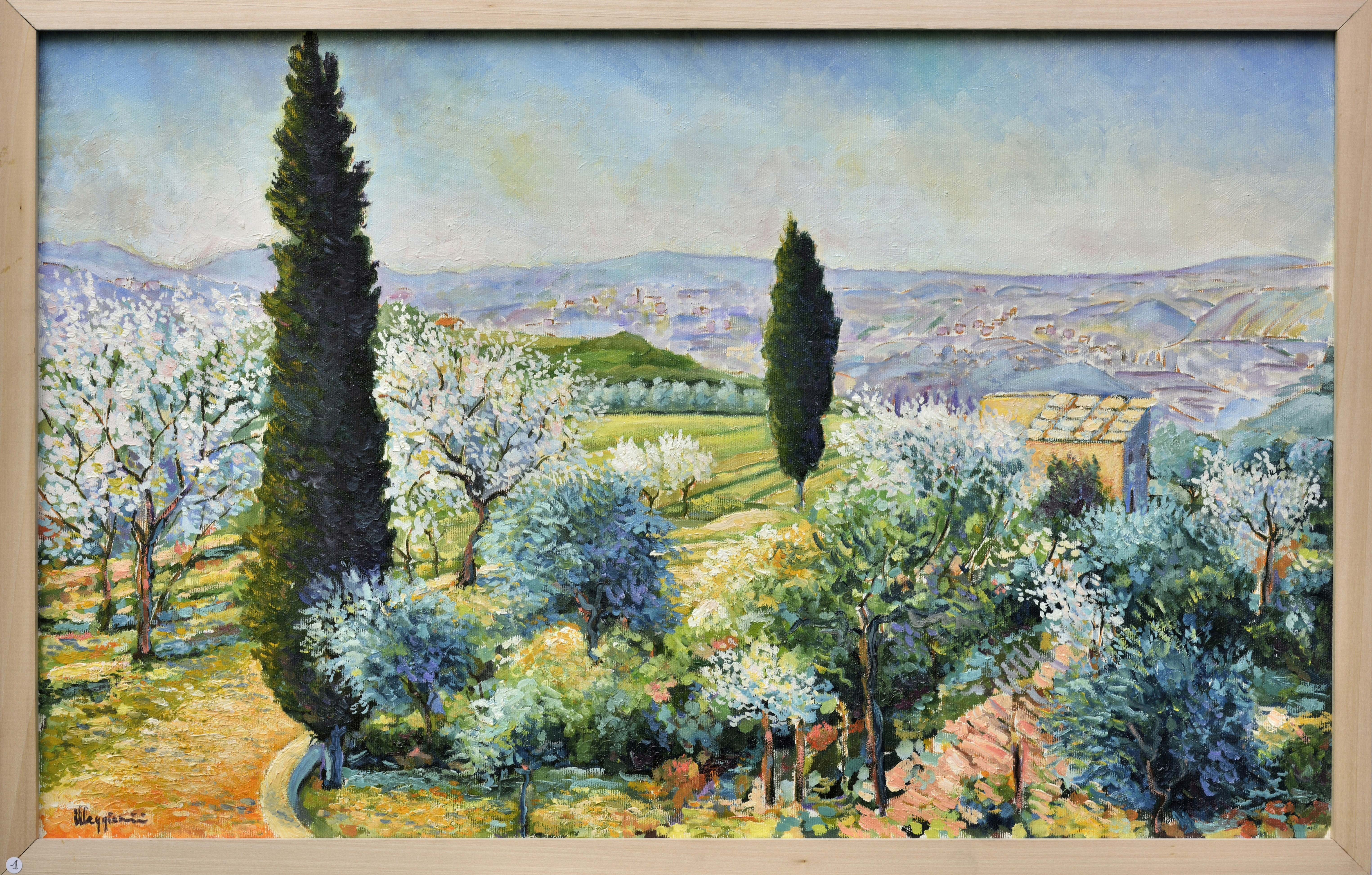 Paesaggio sopra Negrar